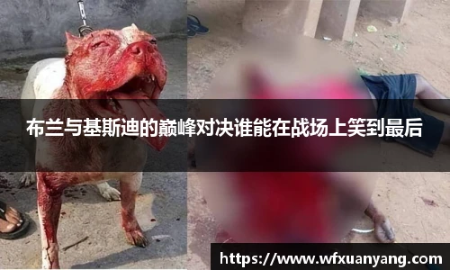 中国·BB贝博艾弗森(股份)有限公司-官方网站