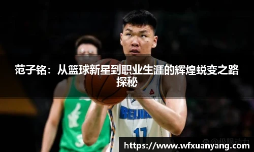 中国·BB贝博艾弗森