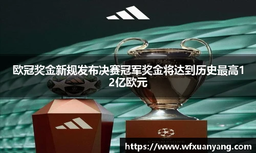 中国·BB贝博艾弗森