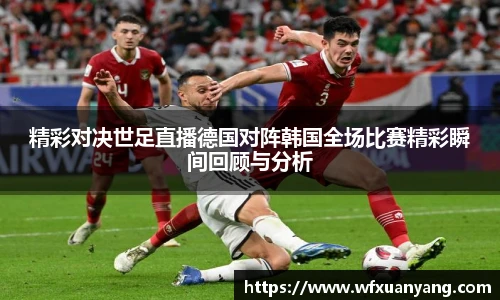 中国·BB贝博艾弗森